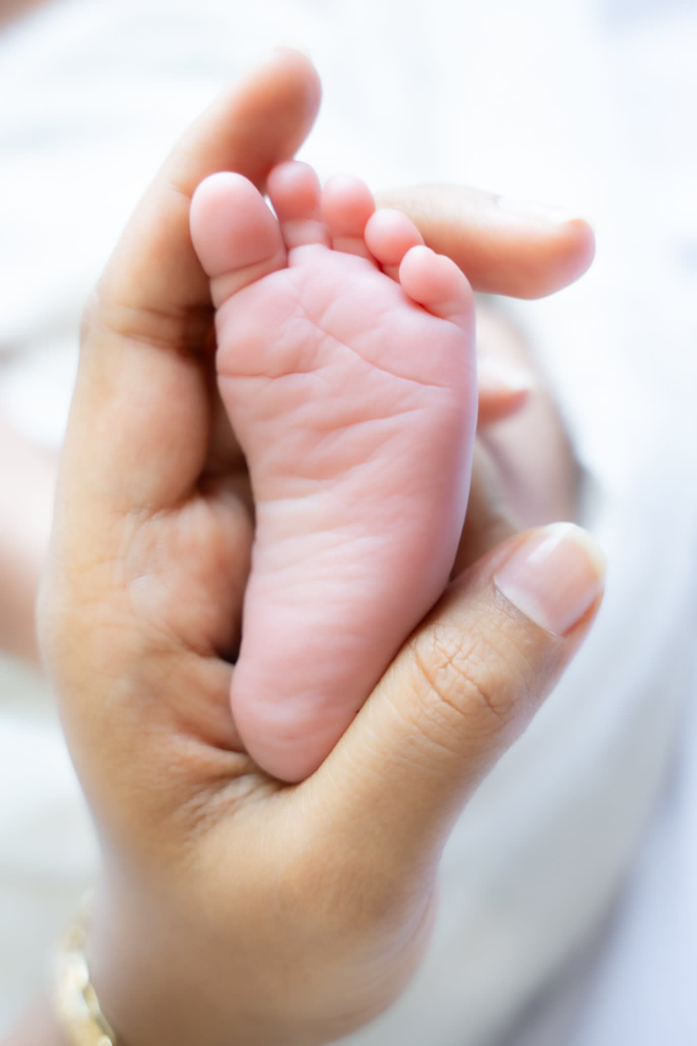 Affordable family photographer in Montreal